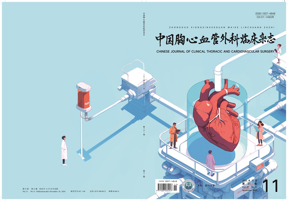 《中國胸心血管外科臨床雜志》2024年第11期封面賞析