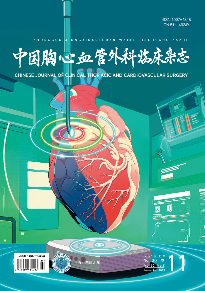 《中國胸心血管外科臨床雜志》2023年第11期封面賞析